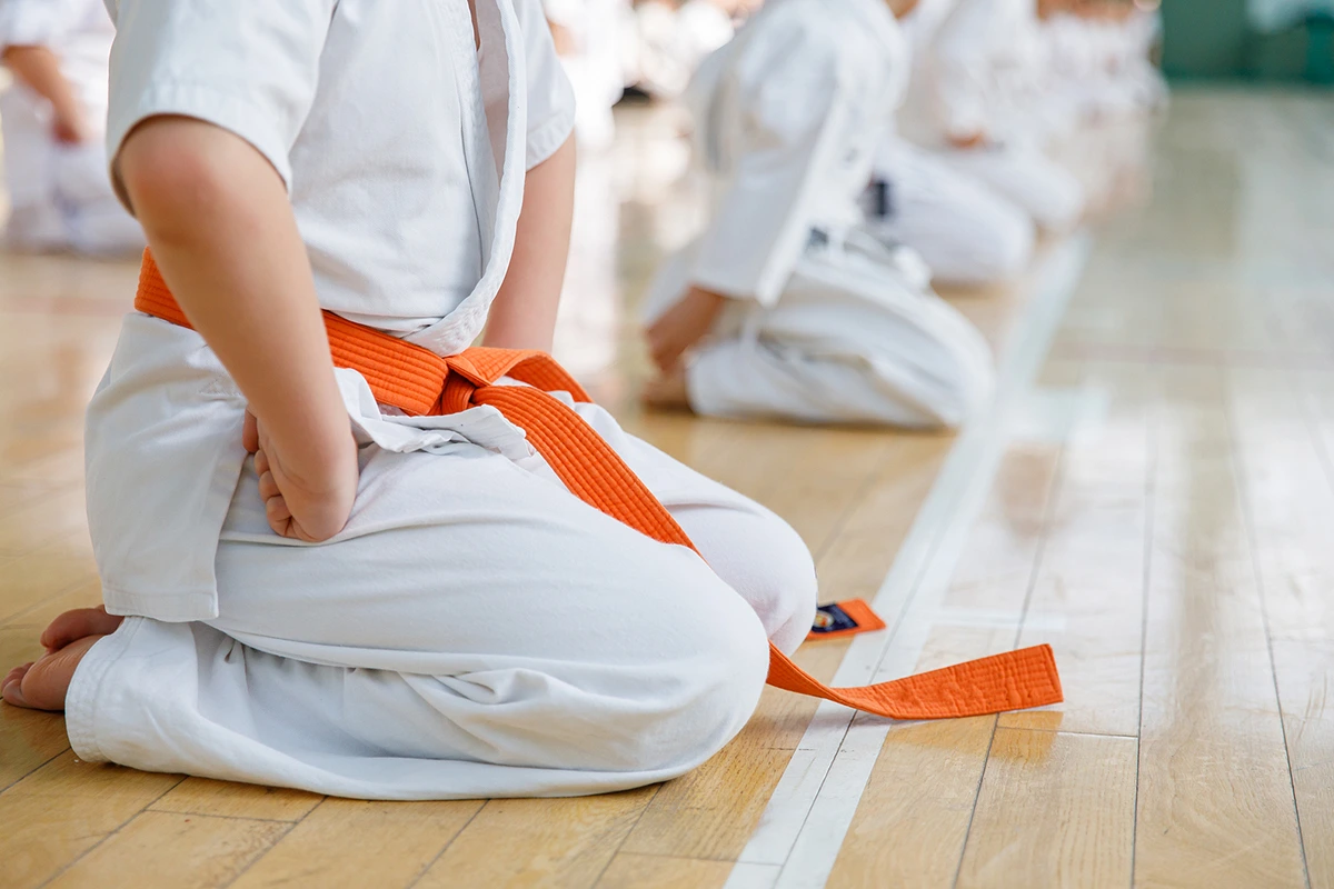 Youth Martial Arts Classes at the JCC Indianapolis